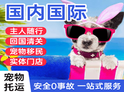 杭州萧山机场物流国际宠物托运 【国